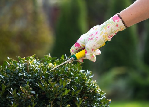 Gardeners carrying out safe outdoor work with tools and protective equipment