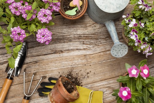 Gardeners Stamford Hill improving a local urban garden