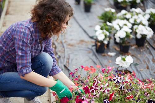 Ongoing accessibility improvement for local gardeners