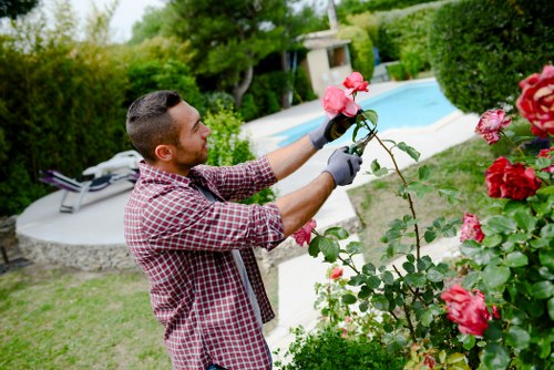 Free quote assessment for a busy Stamford Hill garden