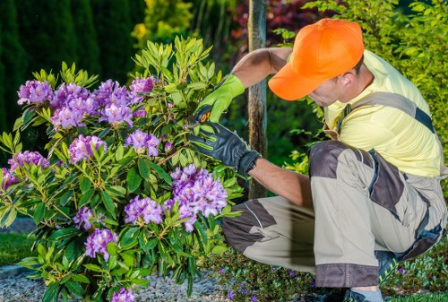 Incident reporting and safety review in a professional gardening service