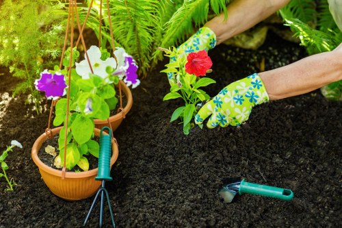 Team assessing a garden maintenance issue during a complaint review