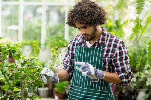 Gardening services in Stamford Hill for a tidy residential garden