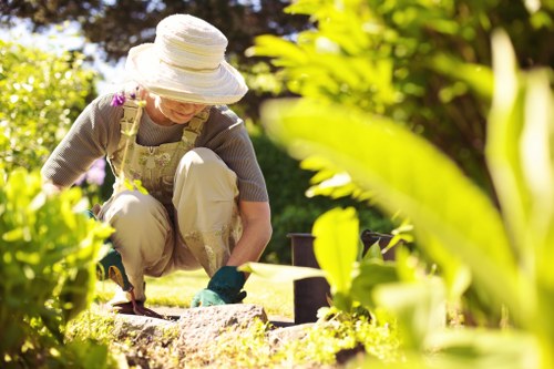 Seasonal garden maintenance in Stamford Hill with pruning and weeding