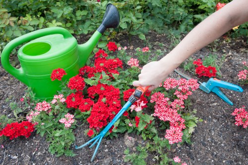 Sustainable garden waste collection and recycling by Gardeners Stamford Hill