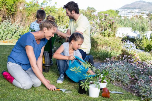 Garden care in Stamford Hill with lawns and borders