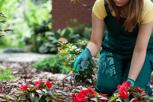 Seasonal lawn mowing in Stamford Hill to keep outdoor spaces tidy