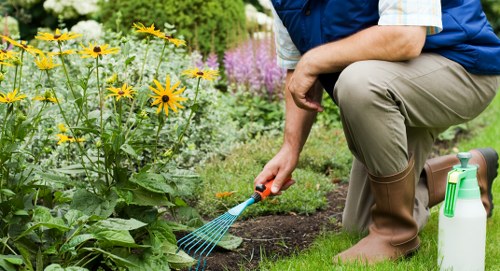 Careful sorting of garden materials for local borough recycling separation