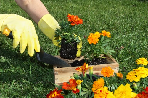 Collected green waste and debris during garden clearance