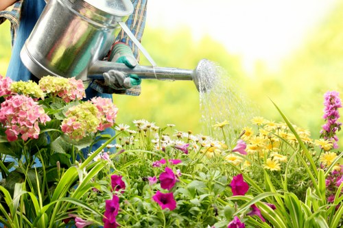 Professional grass cutting and edging in Stamford Hill