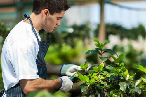 Safe manual handling during garden maintenance and material movement
