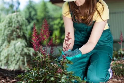 Professional team clearing a garden in Stamford Hill