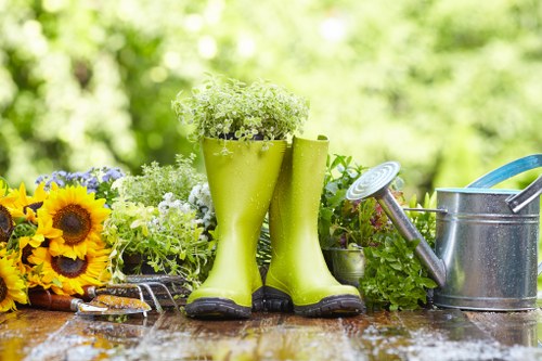 Professional Stamford Hill gardening services for tidy outdoor spaces