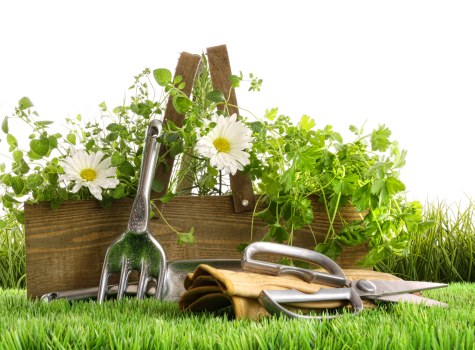 Governing law and final provisions for garden service agreement