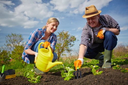 Healthy garden landscaping in Stamford Hill