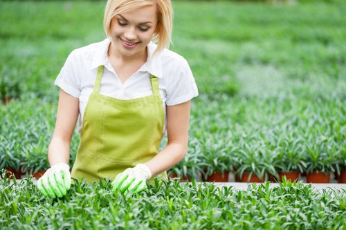 Garden waste removal and site cleanup in Stamford Hill