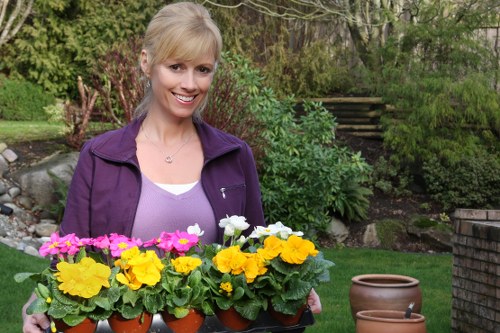 Seasonal garden clearance and cleanup service in Stamford Hill