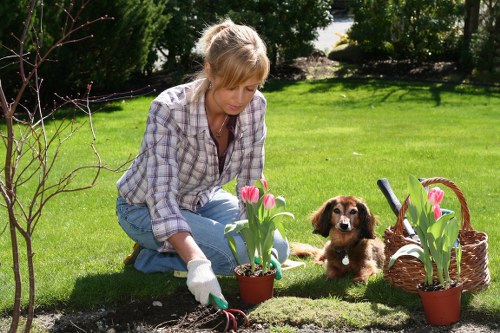 Complaint resolution steps for a gardening service