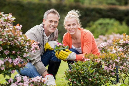 Landscaping and planting work for a Stamford Hill property garden